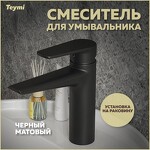 Превью фото №1  Teymi Смеситель для раковины Kati, черный матовый T10219