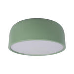 Превью фото №6  10201/350 Green Потолочный светильник LOFT IT Axel