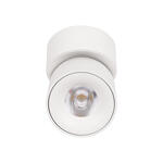Превью фото №3  10180 White 4000K Накладной светильник LOFT IT Tictac
