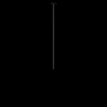 Превью фото №4  10359/800 Black Потолочный светильник LOFT IT Cane