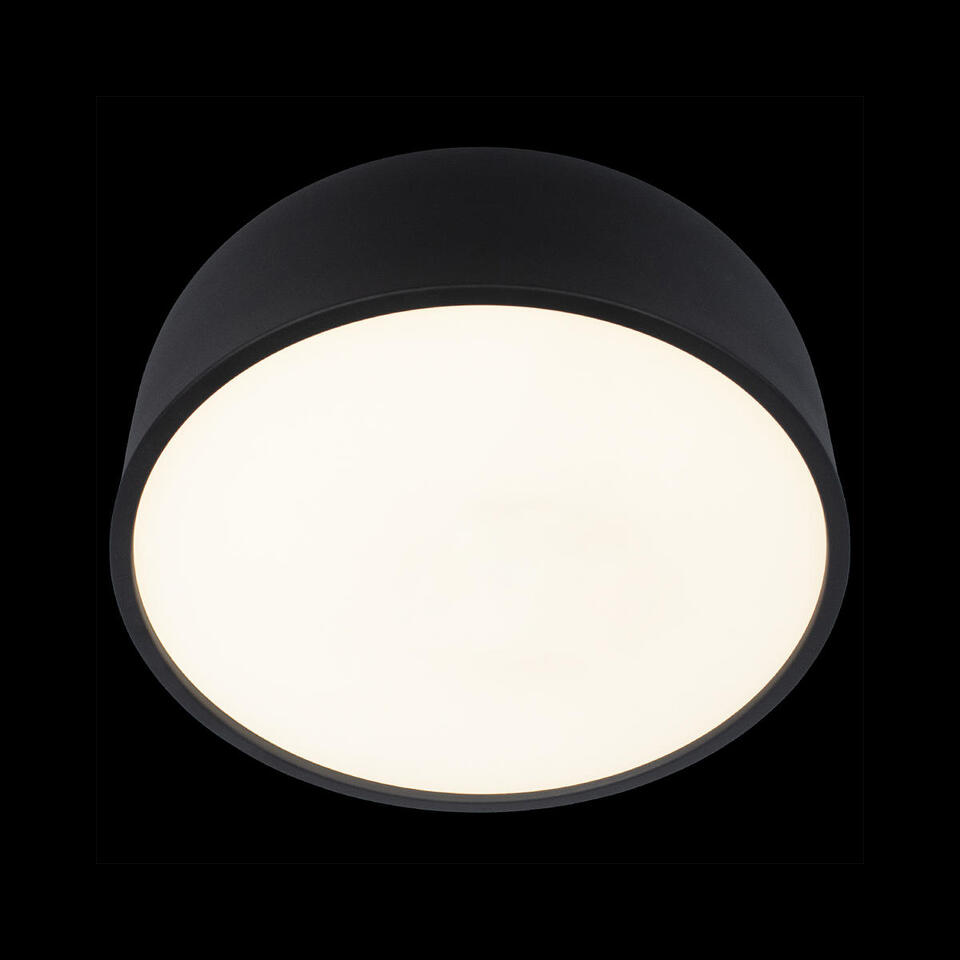 Фото №6  10201/350 Black Потолочный светильник LOFT IT Axel