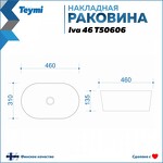 Превью фото №3  Раковина Teymi Раковина Iva 46 накладная, белая T50606