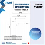 Превью фото №15  Teymi Смеситель для раковины Lori, черный матовый T10257