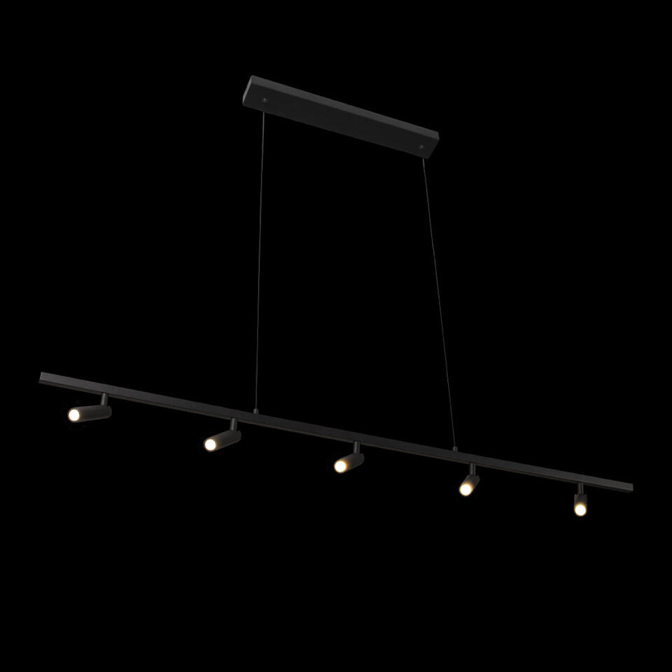 Фото №7  Подвесной светильник 10260/5 Black Подвесной светильник LOFT IT Sign
