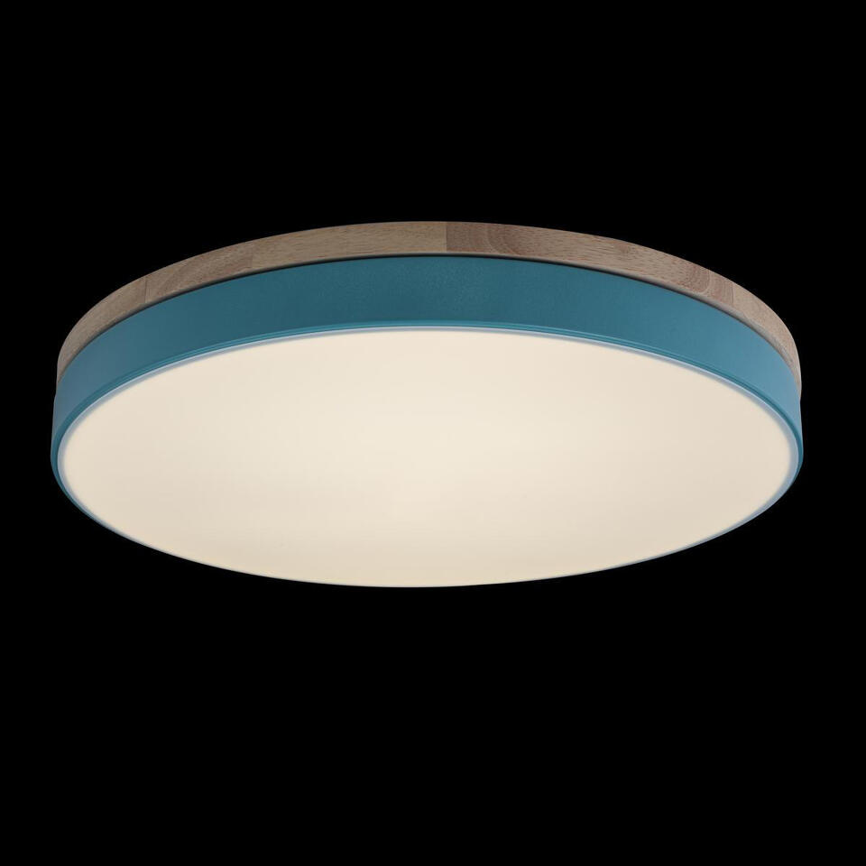 Фото №9  10001/36 Blue Потолочный светильник LOFT IT Axel